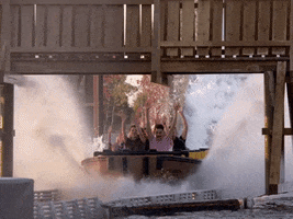 Whats your favorite Amusement park ride?