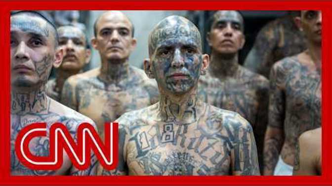 Why doesn't government execute these monster gangbangers?
