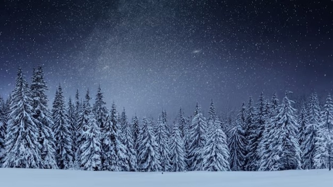 It snowed here last night which is a little early in the year for these parts. Has it snowed yet where you are?