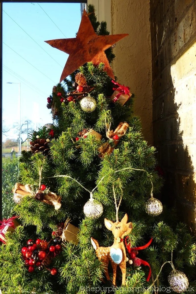 What kind of tree you usually decorate for Winter holidays?