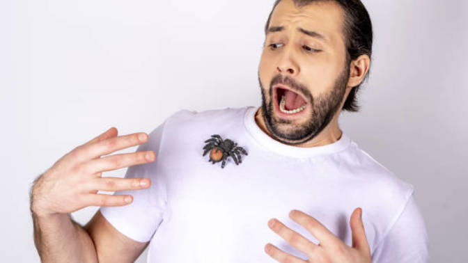 Girls, if you caught your man screaming like a woman over the sight of a spider what would you think?