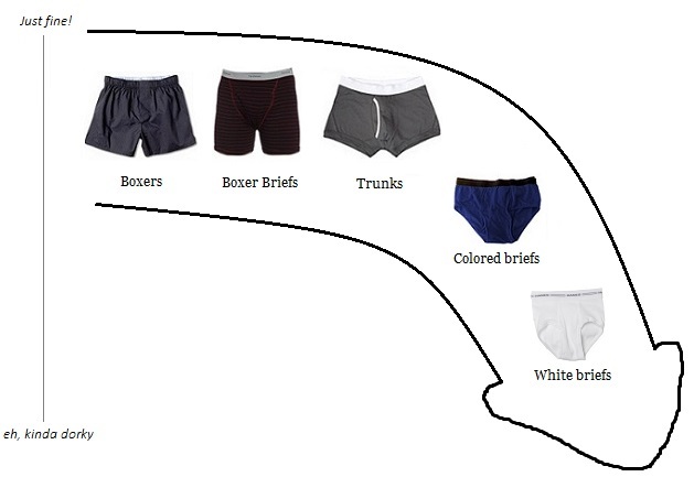 Diagram of typical female preference on mens underwear