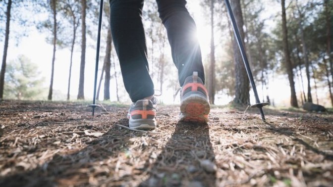 How often do you exercise or go on walks?