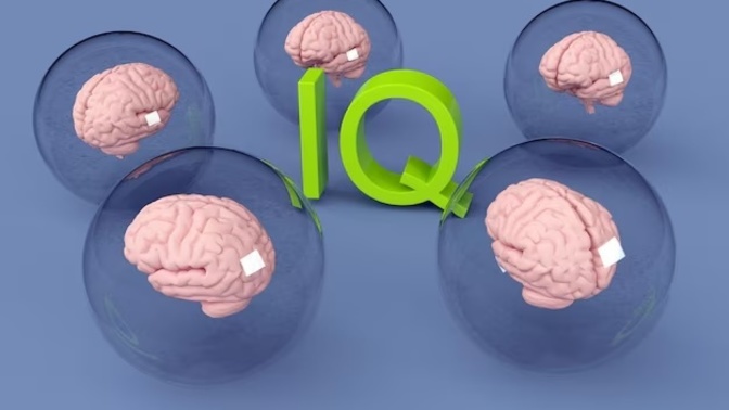 Is IQ mostly genetic?