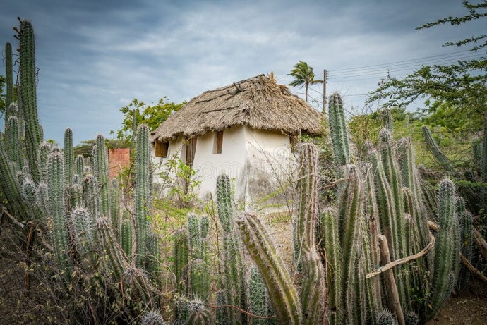 Traditional Kunuku House