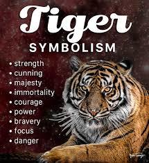 What is your spirit animal?