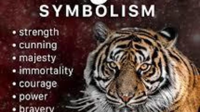 What is your spirit animal?