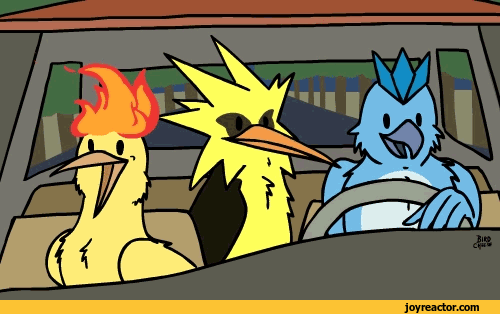 Birdy don't hurt me