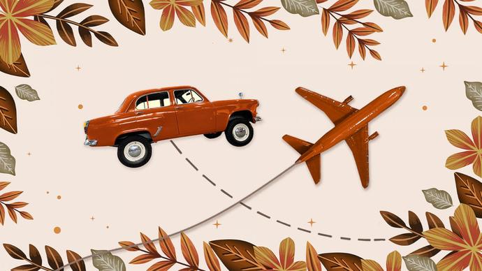 Will you be traveling for Thanksgiving?
