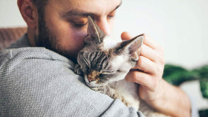 How can you tell when your cat 🐈‍⬛ loves you?