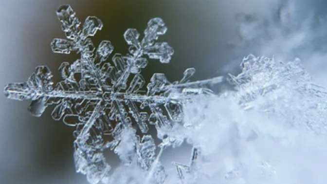 Have you had a first snowfall yet?