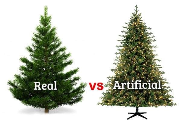 Do you prefer a real or artificial Christmas tree?