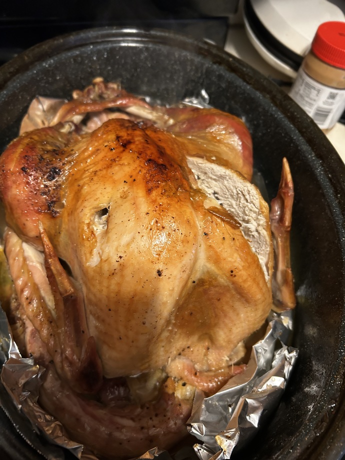 How does my Thanksgiving turkey look?