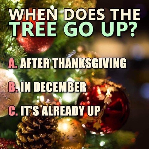 If you celebrate, when do you put up your tree?