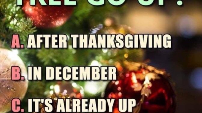 If you celebrate, when do you put up your tree?