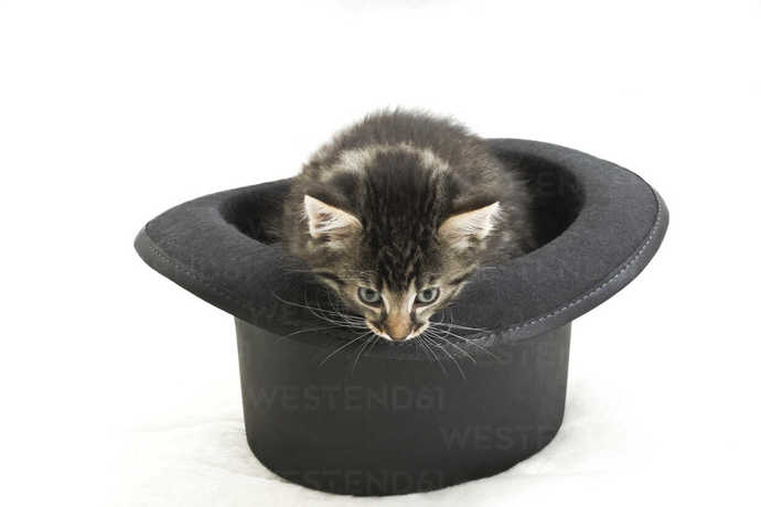 What’s ur favorite hat?