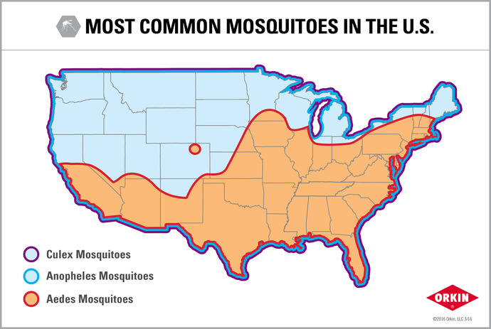 I hate the state my wife and I moved? Should we move?