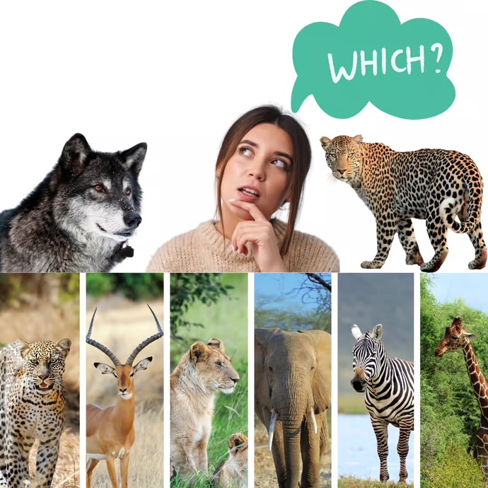 If you could have any animal’s ability for a day, what would you choose and how would you use it?