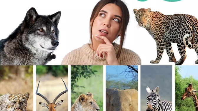 If you could have any animal’s ability for a day, what would you choose and how would you use it?