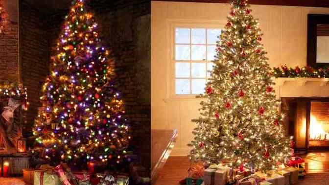 Do you prefer white or colored Christmas lights?