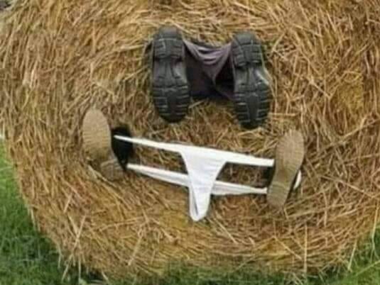 What type of cider do you prefer?