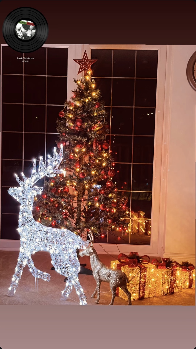 Do you like these Christmas decorations 🎄🎅❄️☃️?