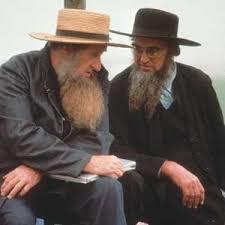 Why do amish have such high birth rates?