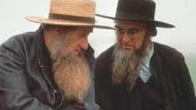Why do amish have such high birth rates?