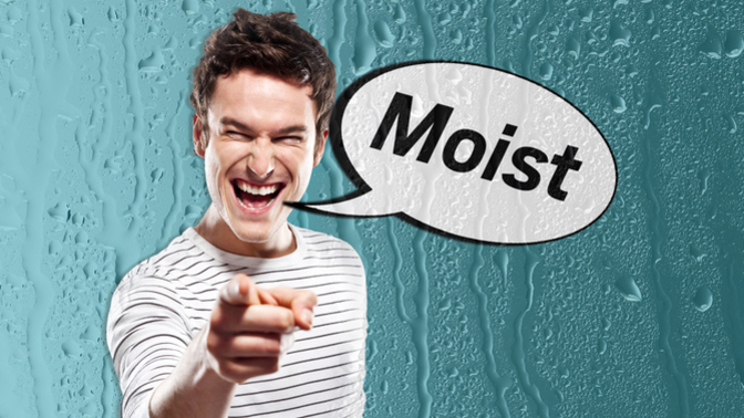 Which of these facial expressions do you make when someone says the word 'moist' around you?
