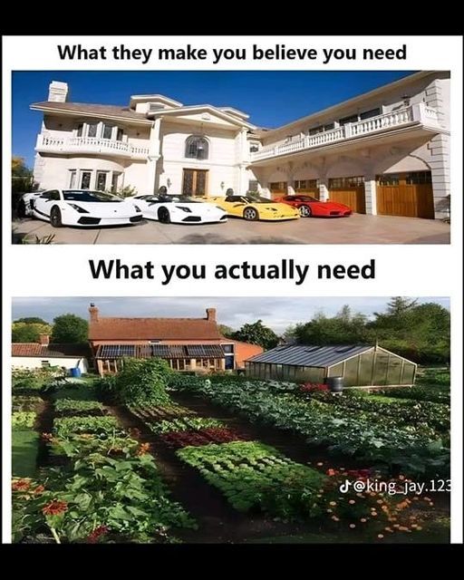 What habit immediately reveals that a person grew up in a poor family?