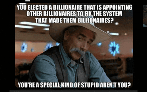 How did billionaires get you to vote for them?