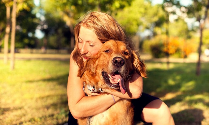 Who cares if he sheds... found my dream spouse in my dog... does what I say, licks my face when get home, what more could I ask for?