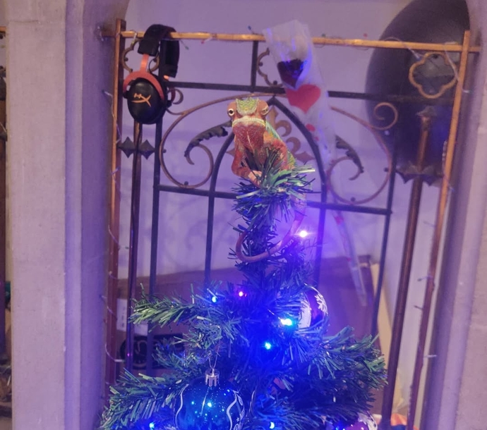 Do you like our Christmas tree topper?