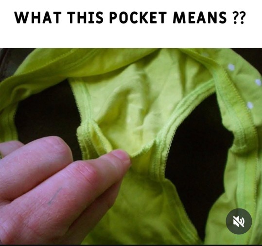 Whats the use of this pocket given in panty?