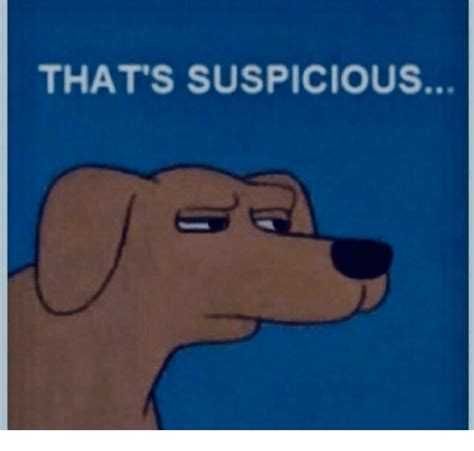 Anyone else suspicious of pink accounts who constantly attack other women?