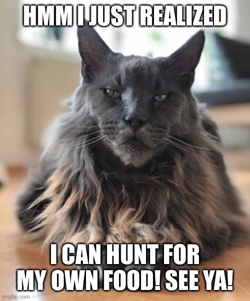 Men and women, what do you all bring to the table in your relationships with your pets?