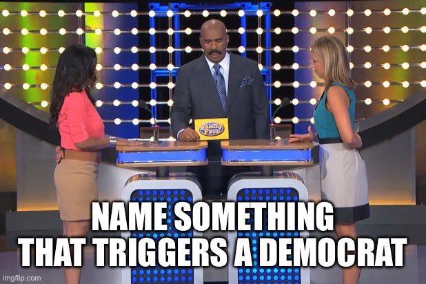 Name something that triggers a Democrat?