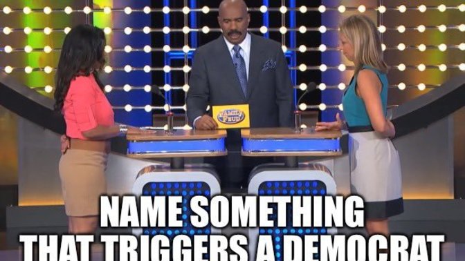 Name something that triggers a Democrat?