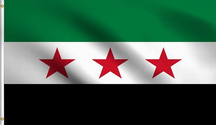 Who overthrew the Assad regime?