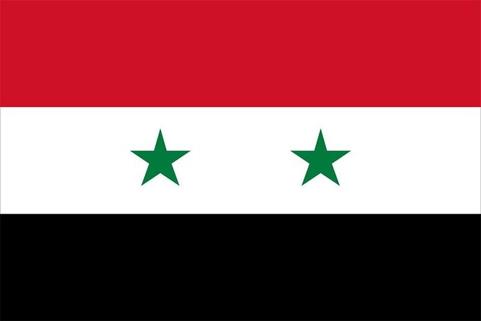 Who overthrew the Assad regime?