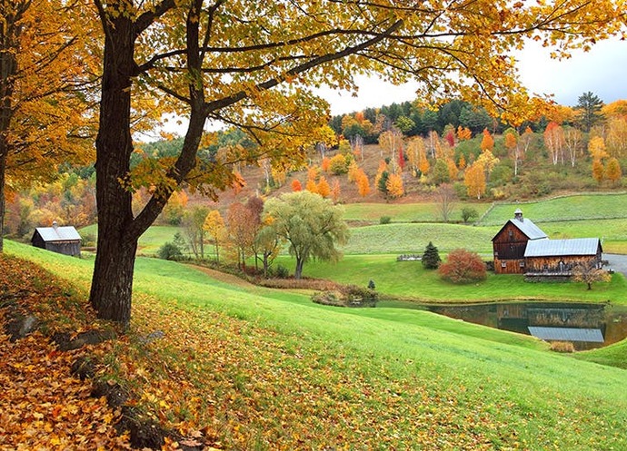 If forced into residency in one of these two states, what’s your pick ?