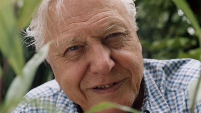 Do you equate someone speaking with a British accent as intelligent?