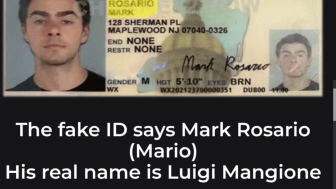 Is it hilarious that the "assassin" named Luigi carried a fake ID name Ma- -rio?