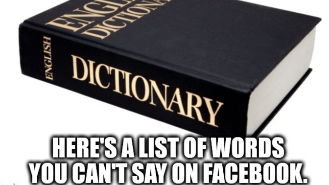 How often do you look words up in the dictionary?