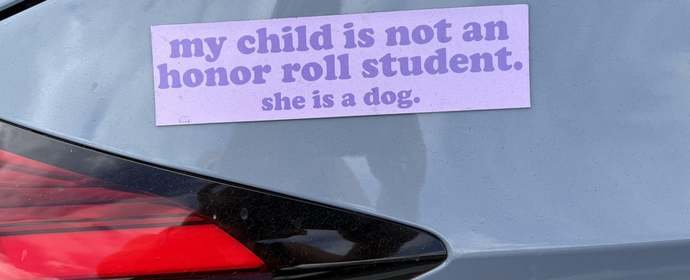 Should the govt decentivize bad parents?