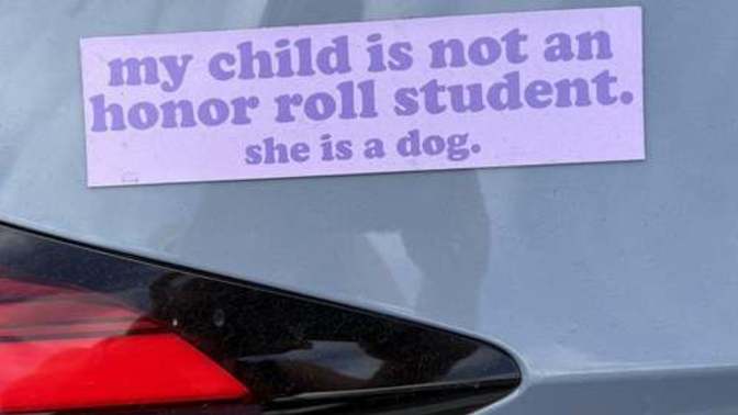 Should the govt decentivize bad parents?