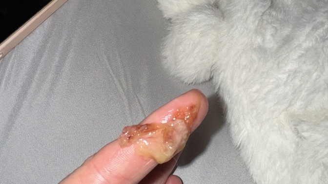 Is this bacterial or viral sinusitis?