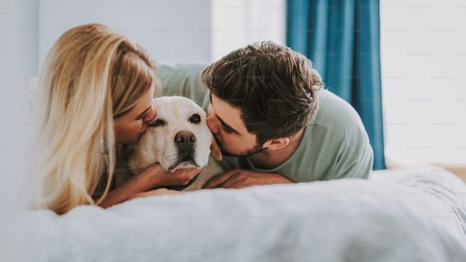 Do you let your dog sleep in your bed?