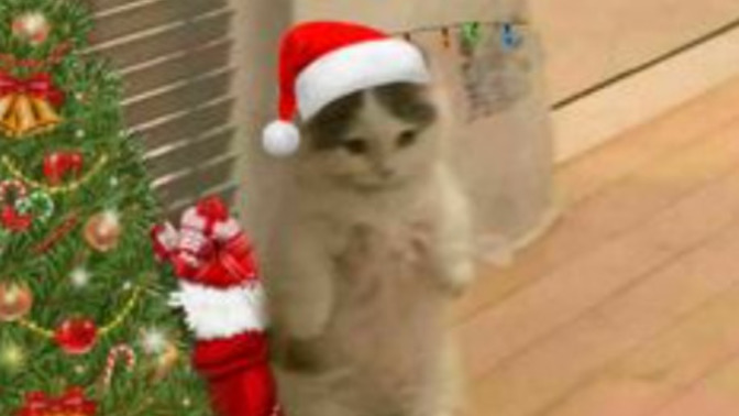 ‧₊˚🎄✩ ₊˚🦌⊹♡ what are you doing for Christmas this year ‧₊˚🎄✩ ₊˚🦌⊹♡?