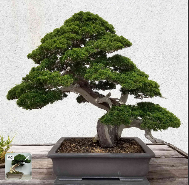 Which of these would you consider to be the best Christmas present?